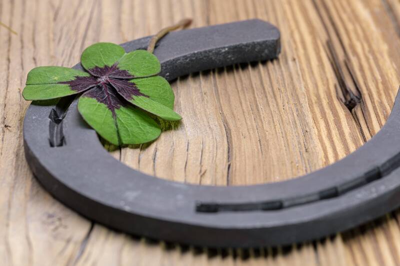 four leaf clover, happiness, horseshoe, new year's day, sylvester, ribbon, superstition, horseshoe, horseshoe, horseshoe, horseshoe, horseshoe, superstition, superstition