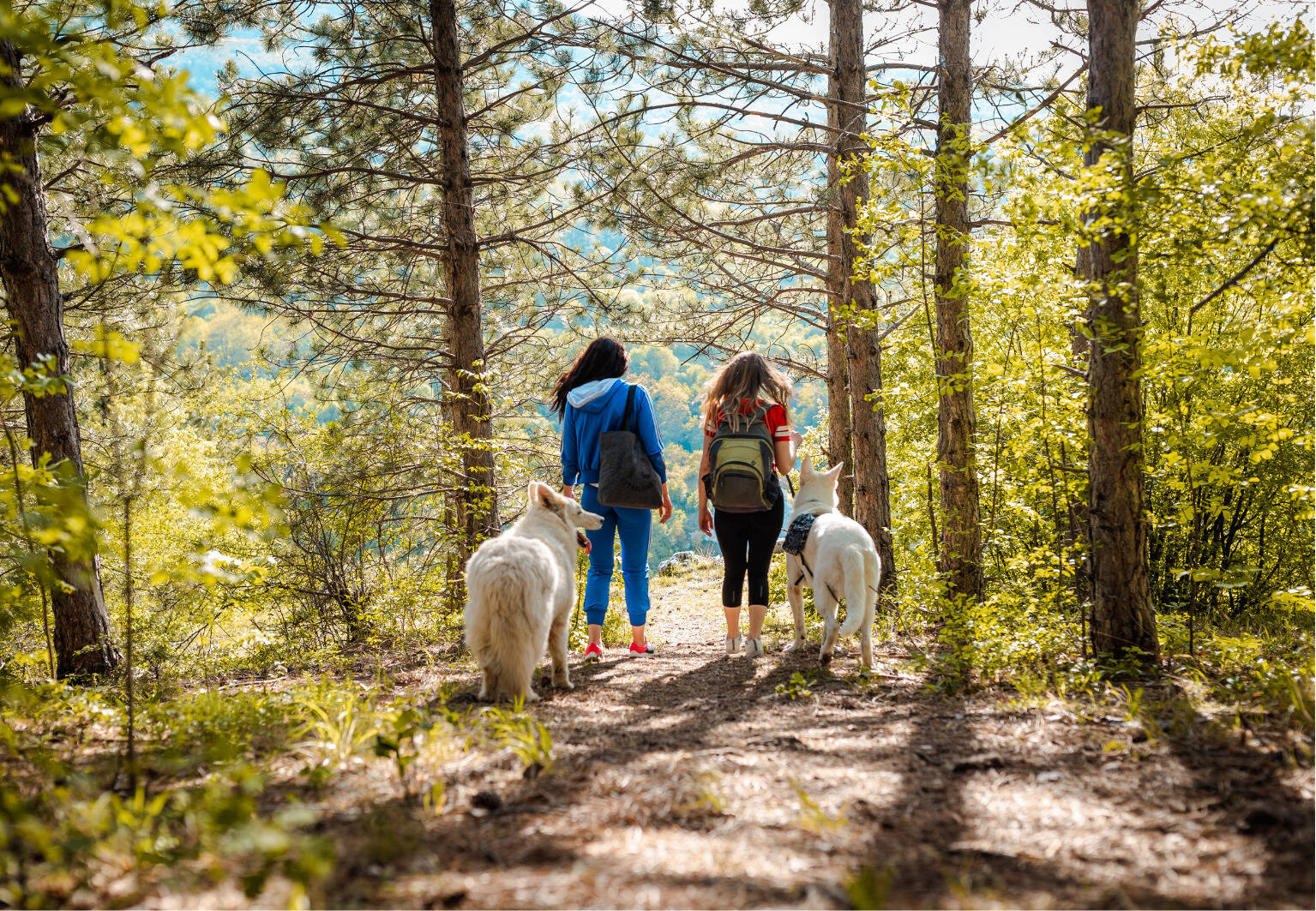 Wandern mit Hund
